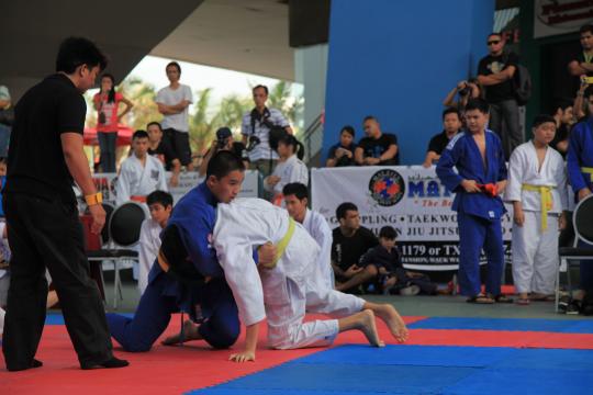 IMG 4184