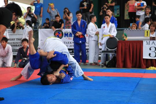 IMG 4229