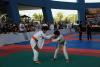 IMG 4125 IMG 4125
