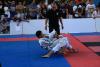 IMG 4309 IMG 4309